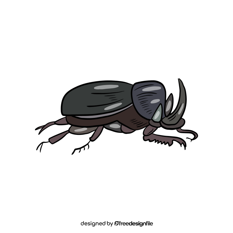 Beetle drawing clipart