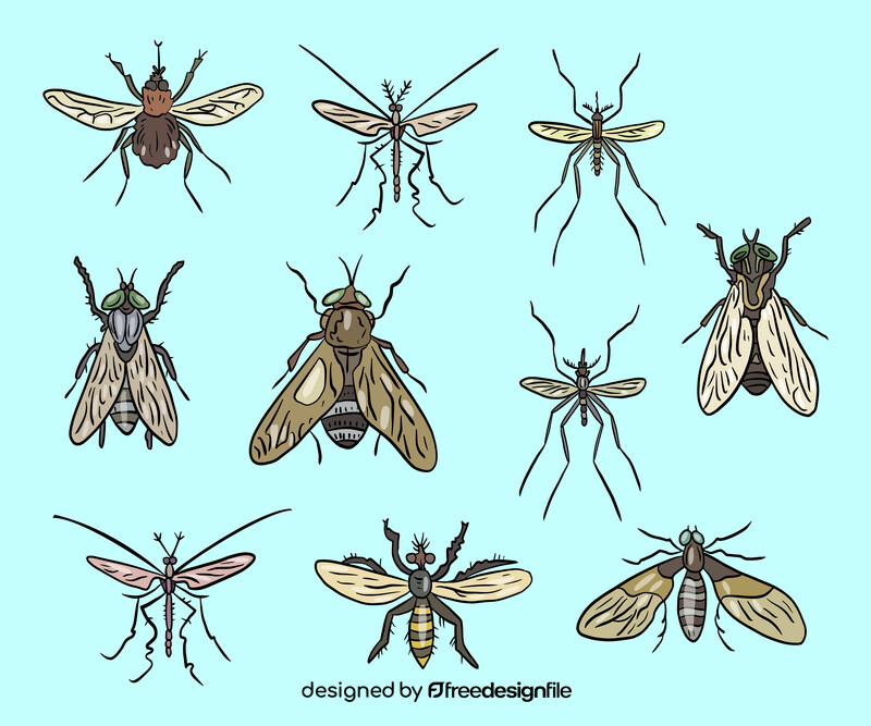 Mosquitoes vector