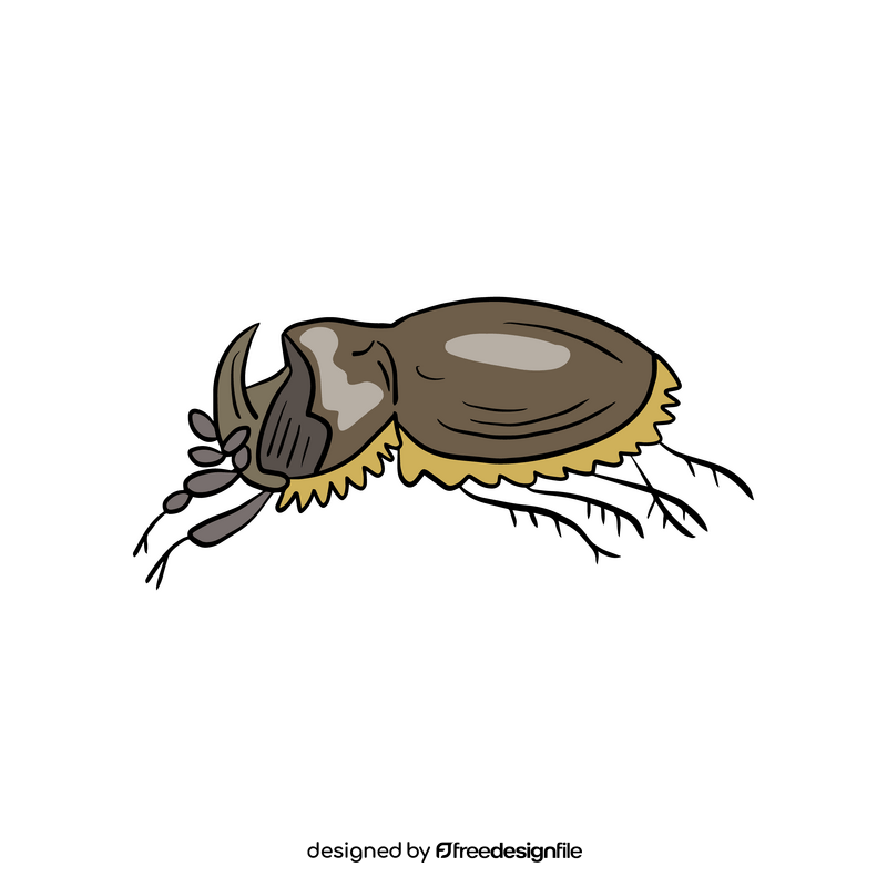 Beetle illustration clipart