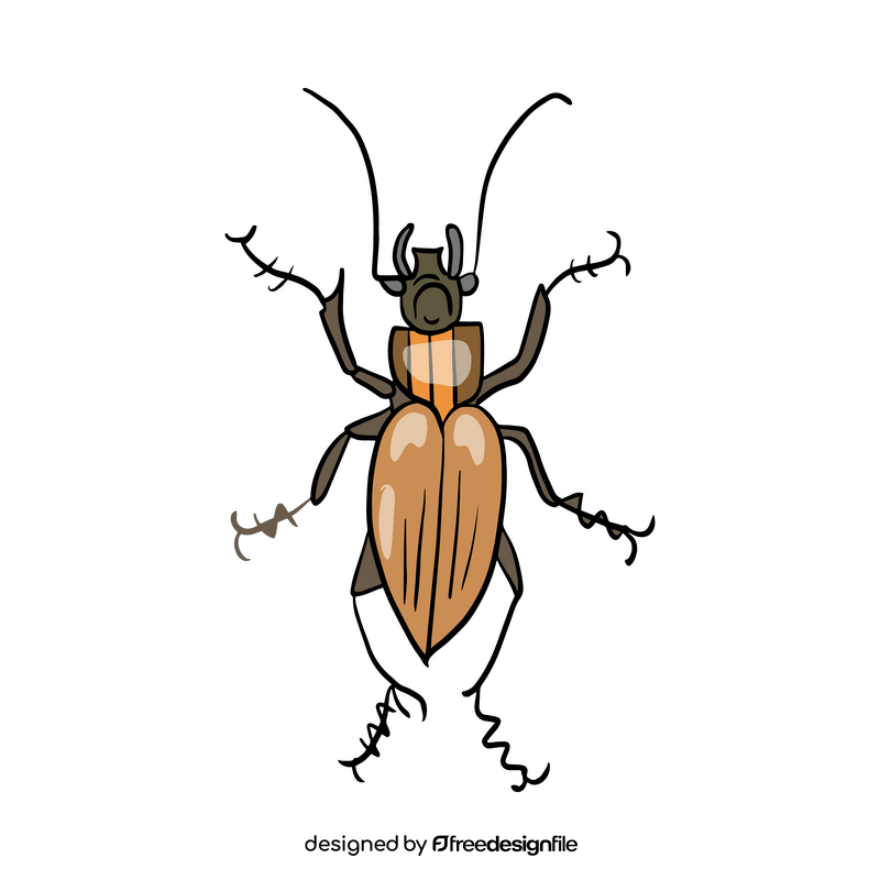 Beetle illustration clipart