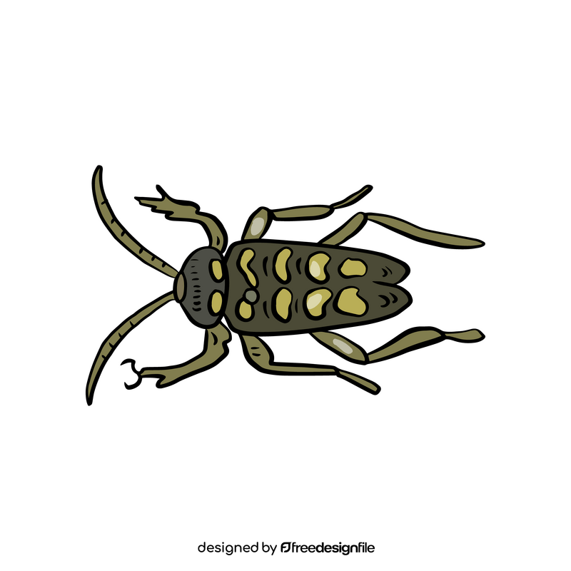 Beetle clipart