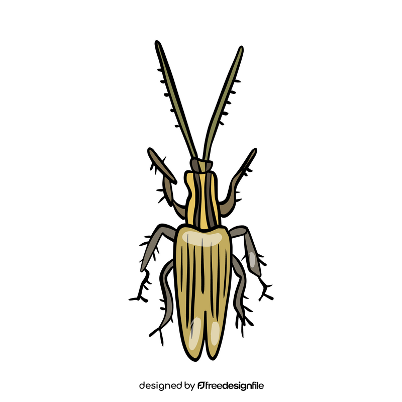 Beetle clipart