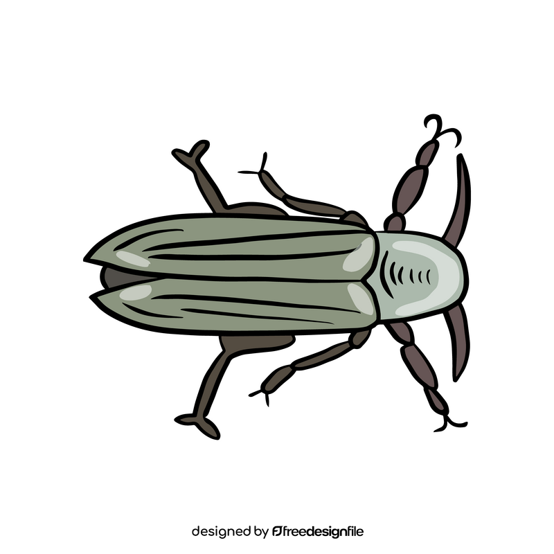 Beetle clipart