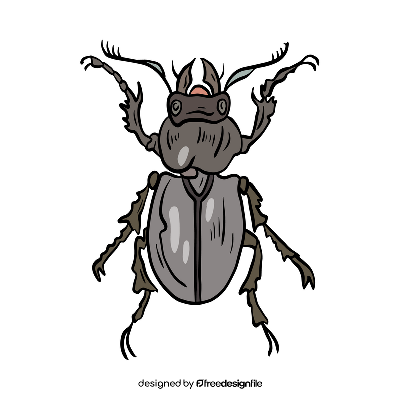 Beetle drawing clipart