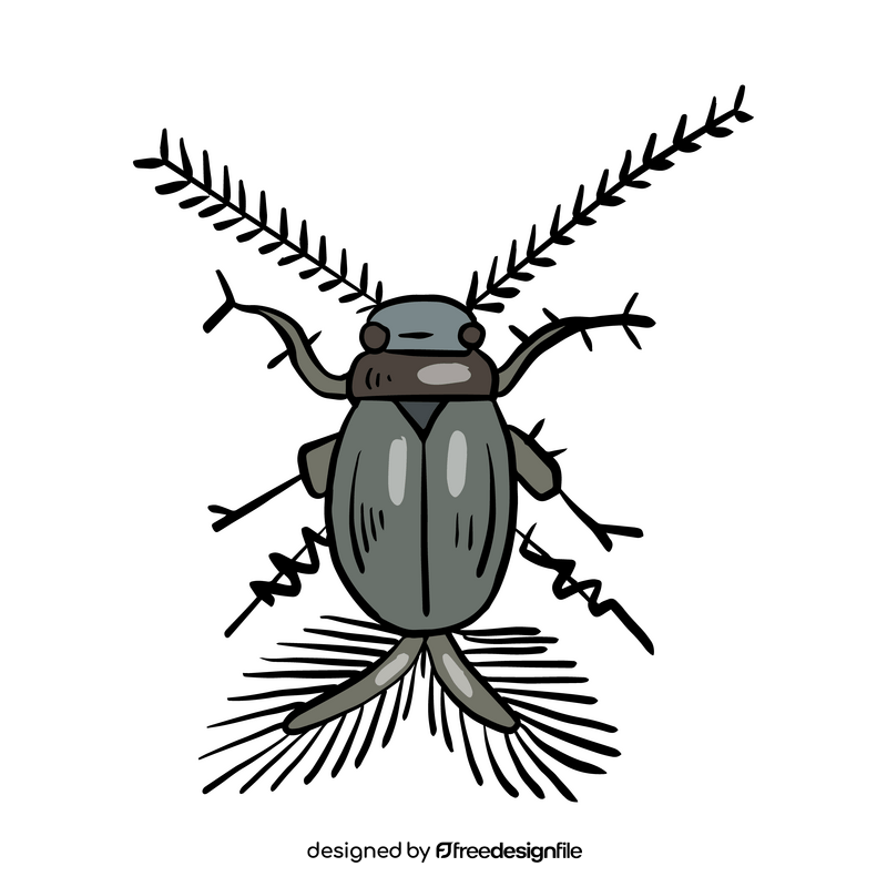 Beetle clipart