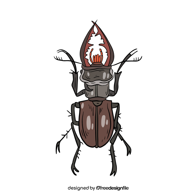 Beetle clipart