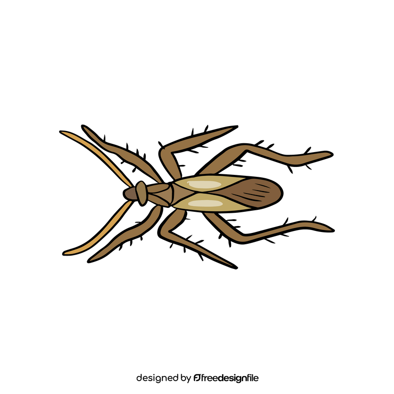 Stink bug clipart