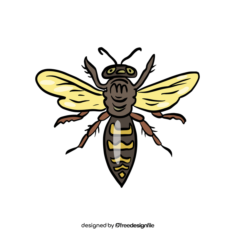 Wasp clipart