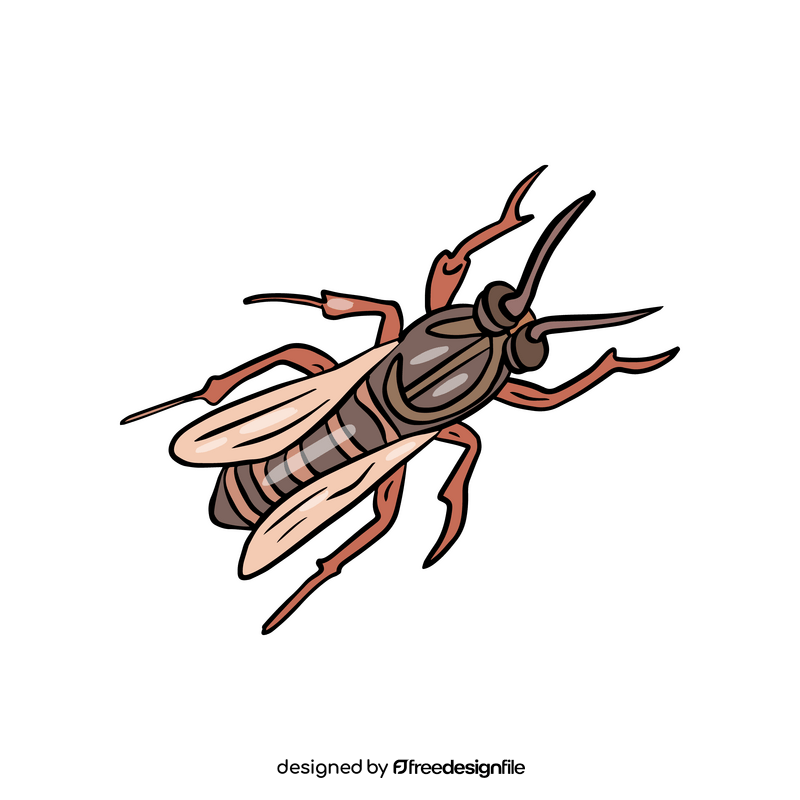 Free wasp illustration clipart