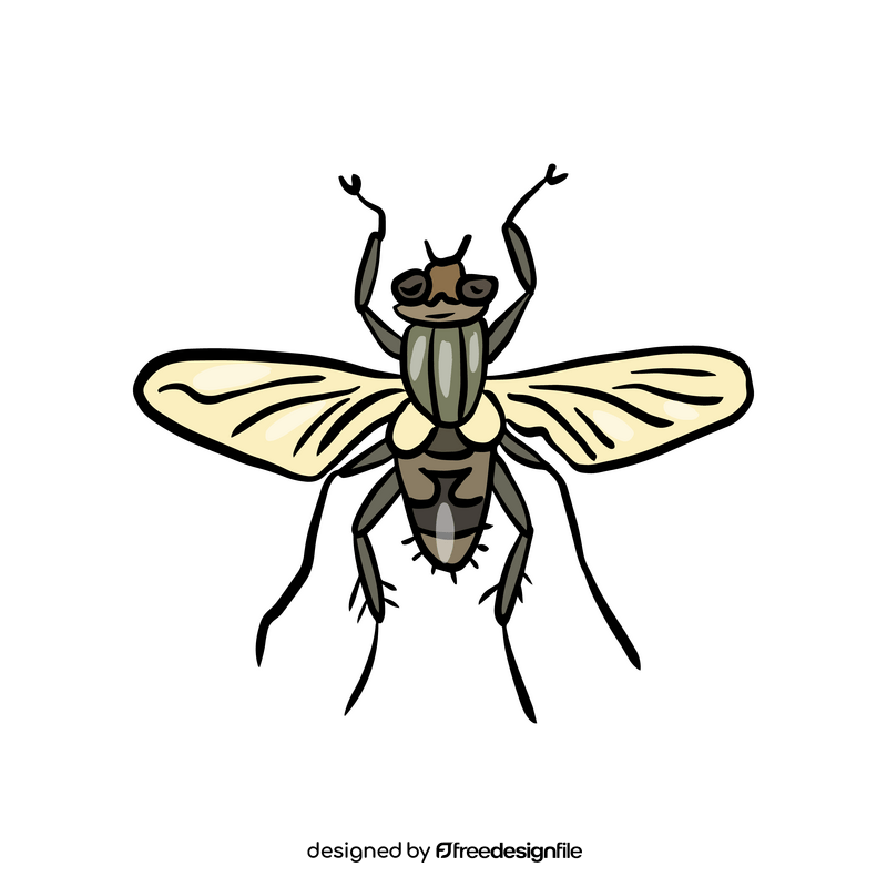 Insect clipart