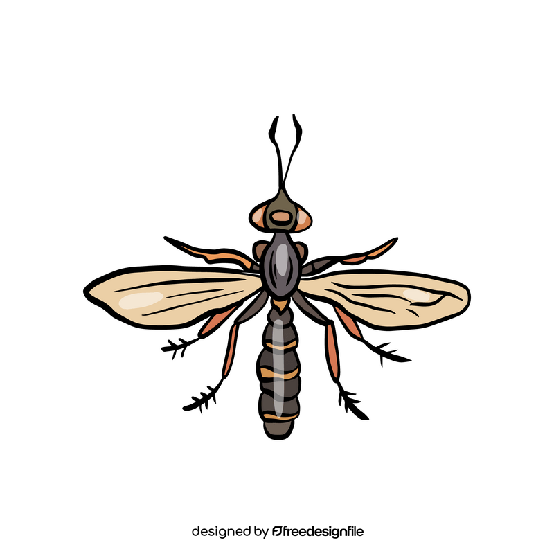 Insect clipart