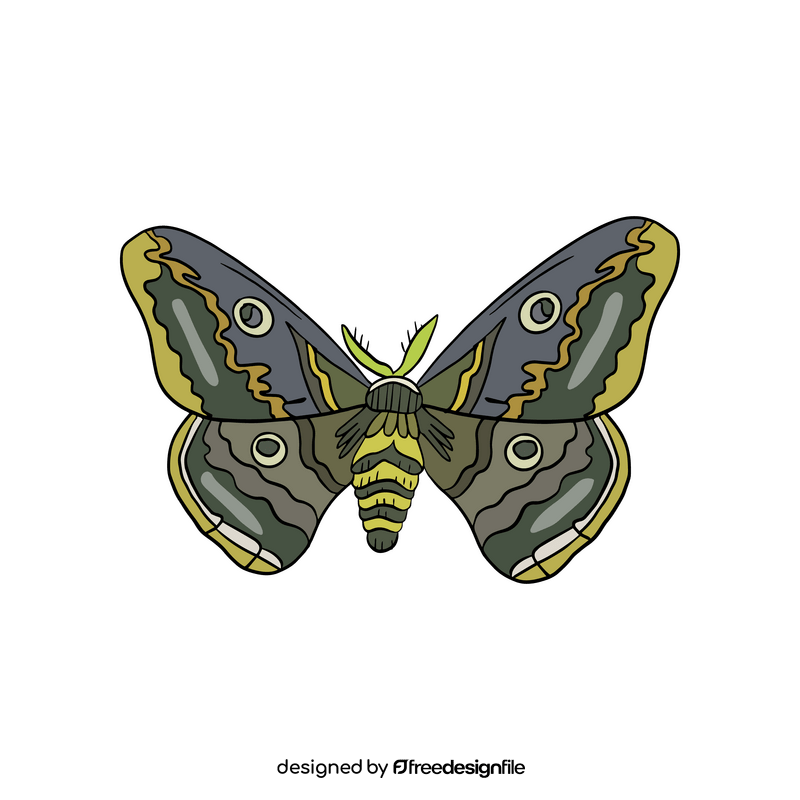 Moth insect clipart