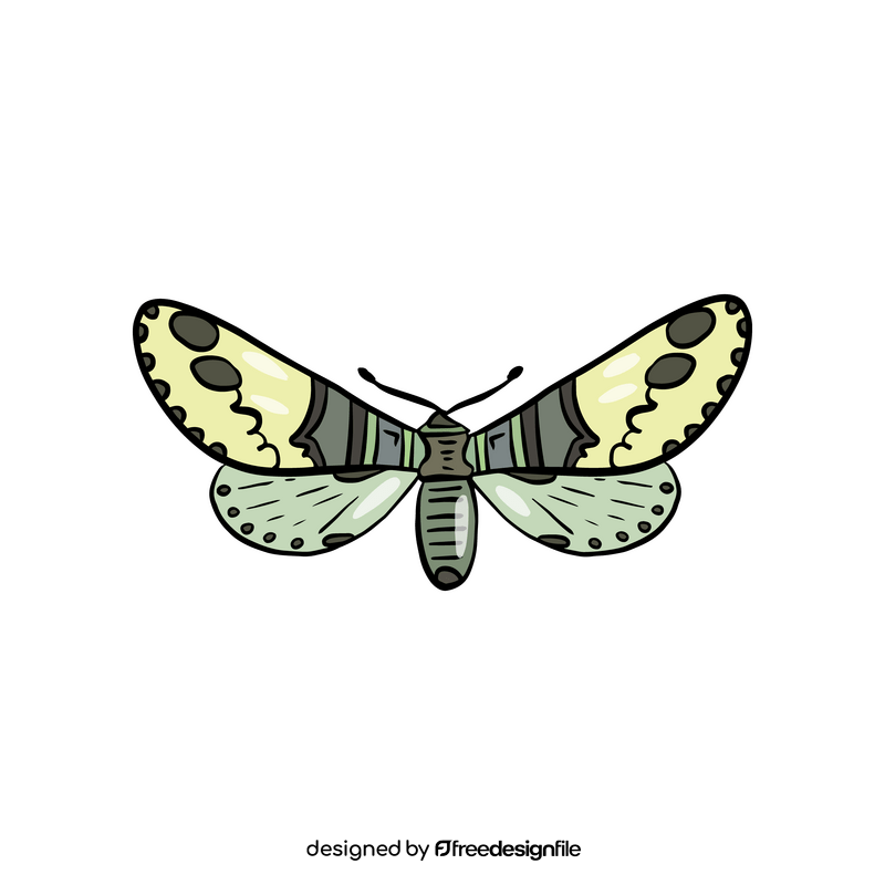 Moth drawing clipart