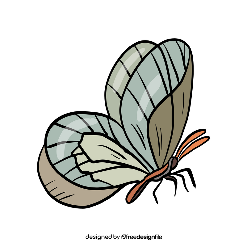 Cossina clipart