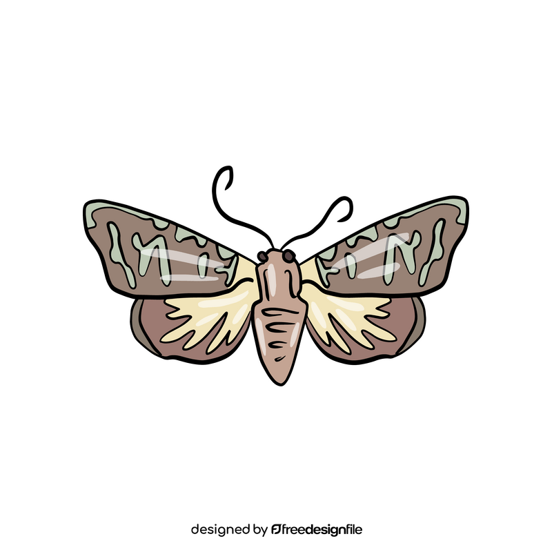 Cartoon butterfly clipart