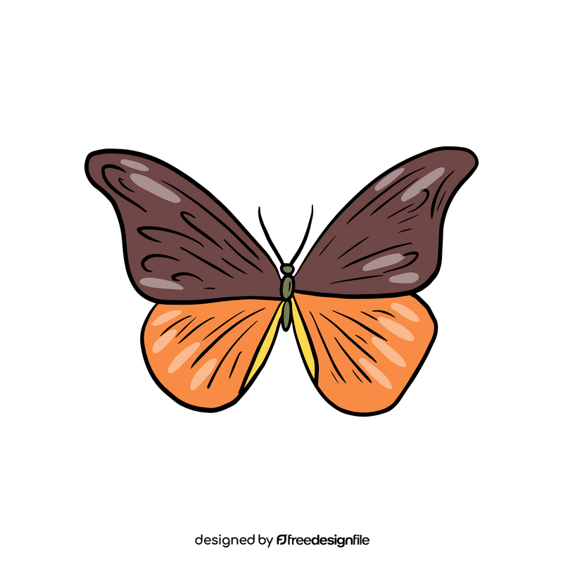 Cartoon butterfly clipart