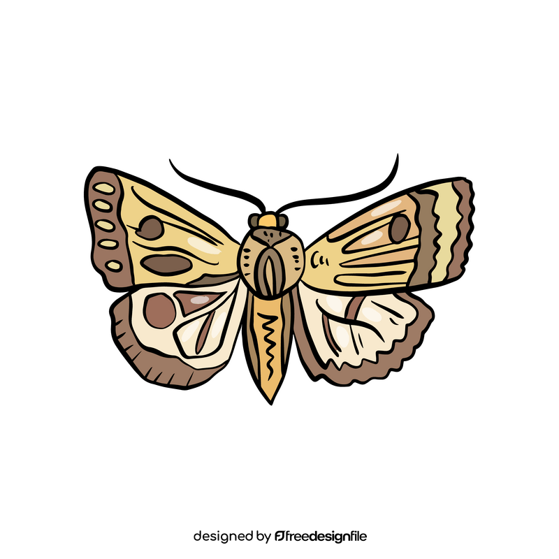 Free butterfly insect clipart