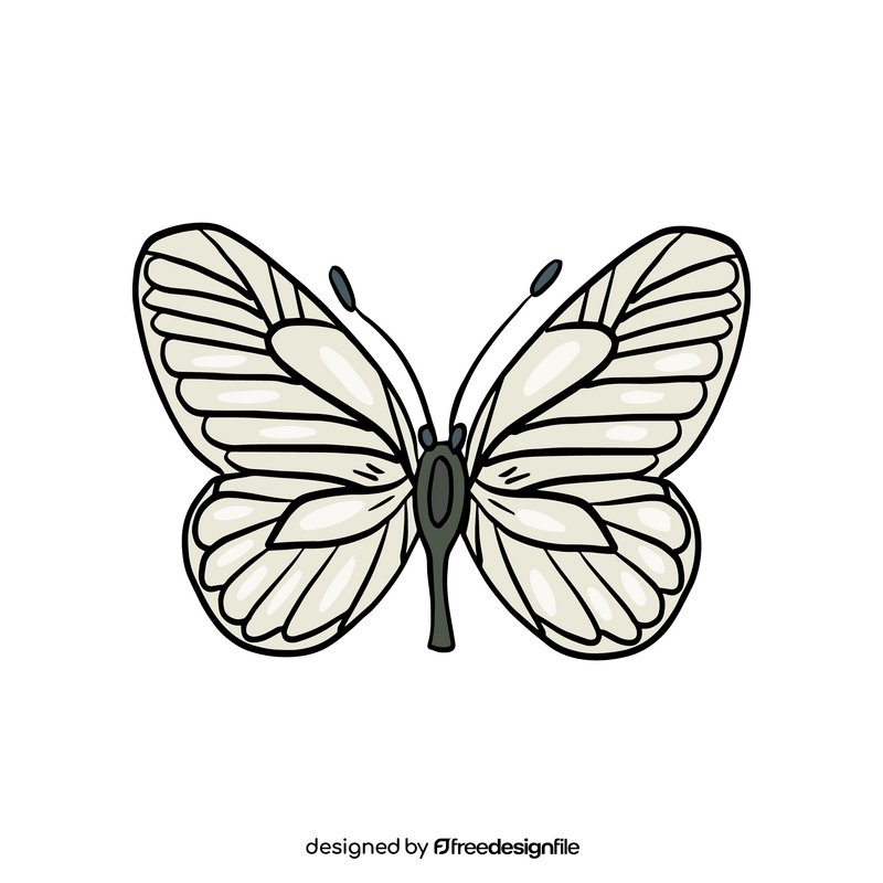 Butterfly drawing clipart