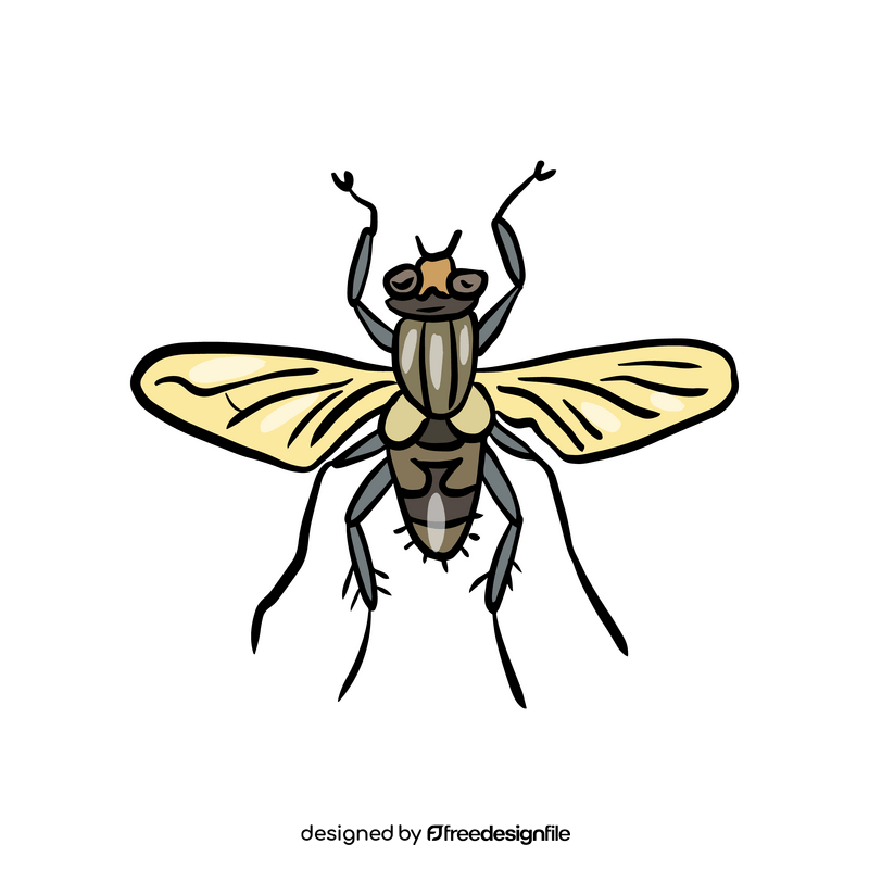 Fly insect clipart