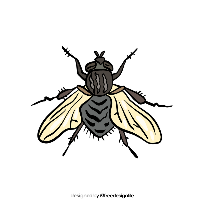 Fly insect illustration clipart