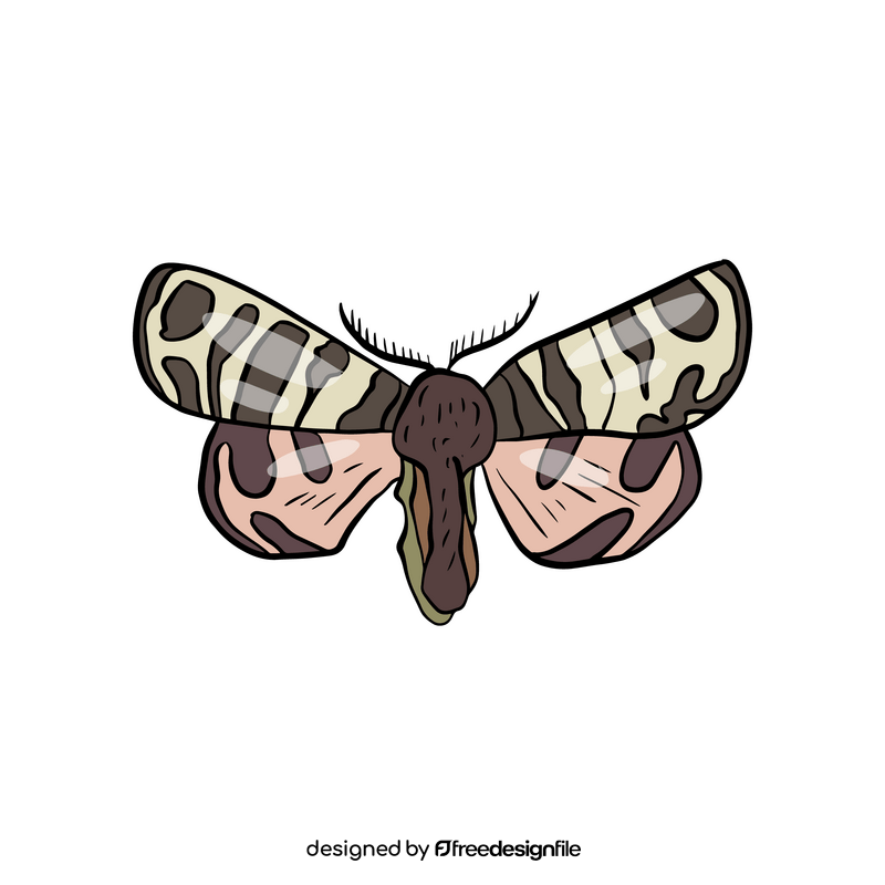 Butterfly clipart