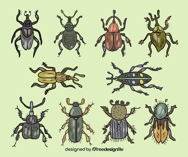 Leaf beetles vector