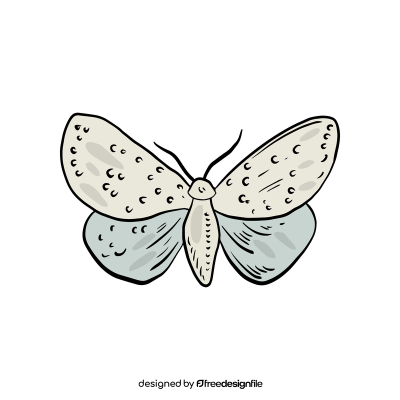 Butterfly drawing clipart