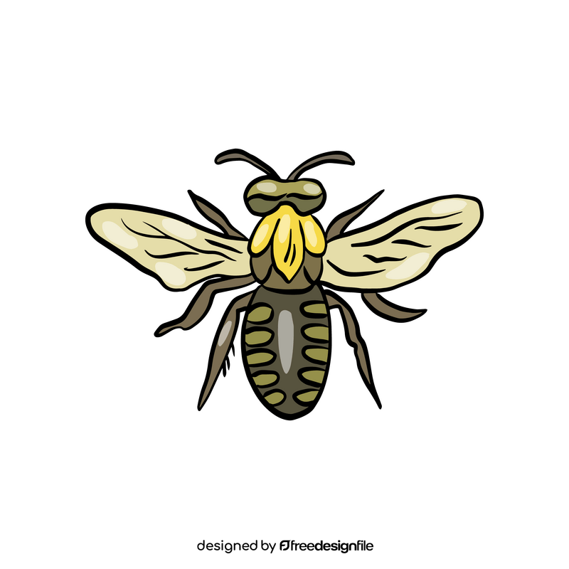 Bee insect clipart