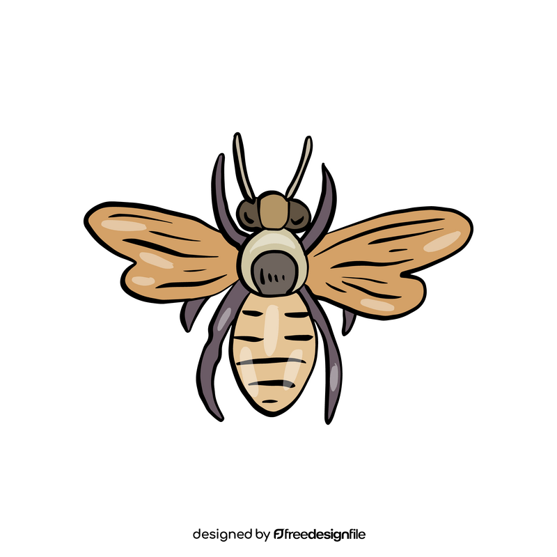 Free wasp insect clipart