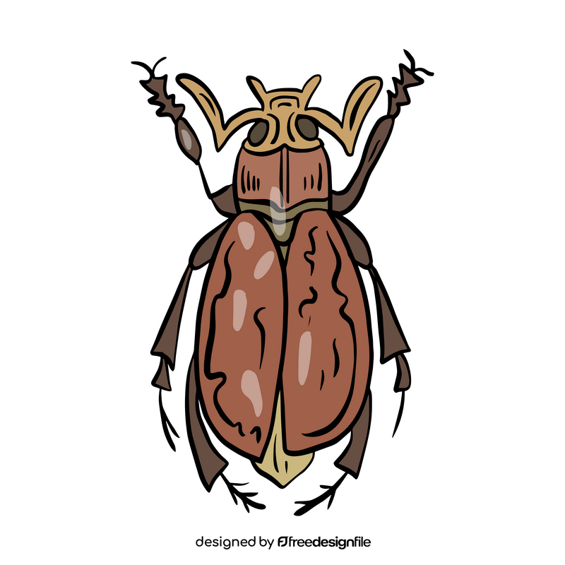 Cartoon beetle insect clipart