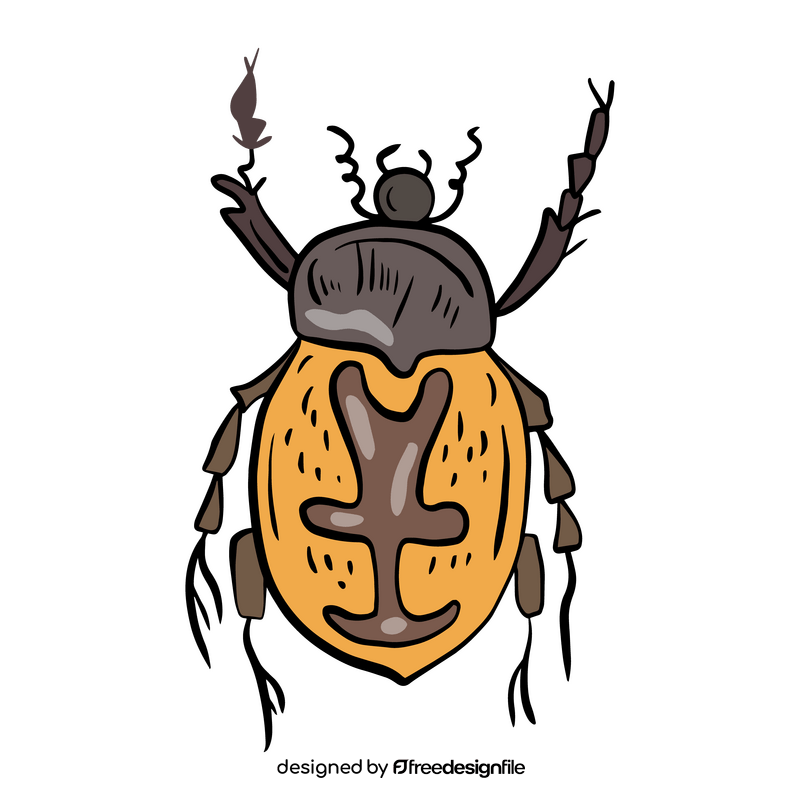 Beetle insect illustration clipart