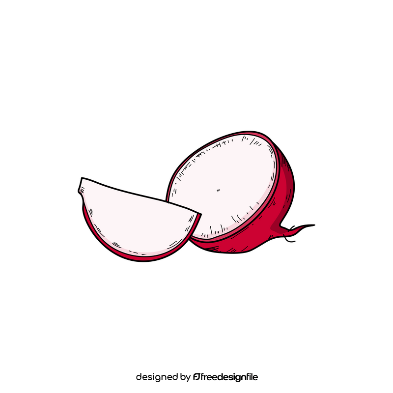 Radish cut drawing clipart