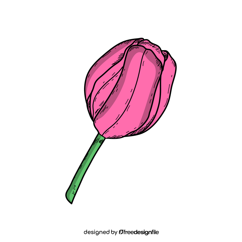 Tulip spring flower drawing clipart