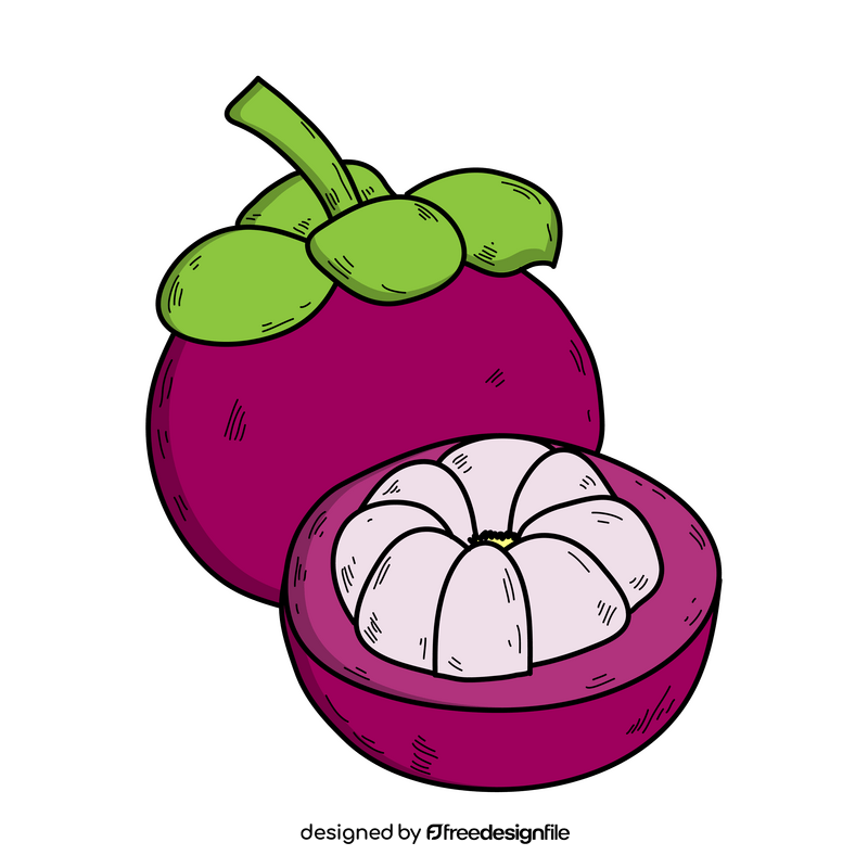 Mangosteen drawing clipart