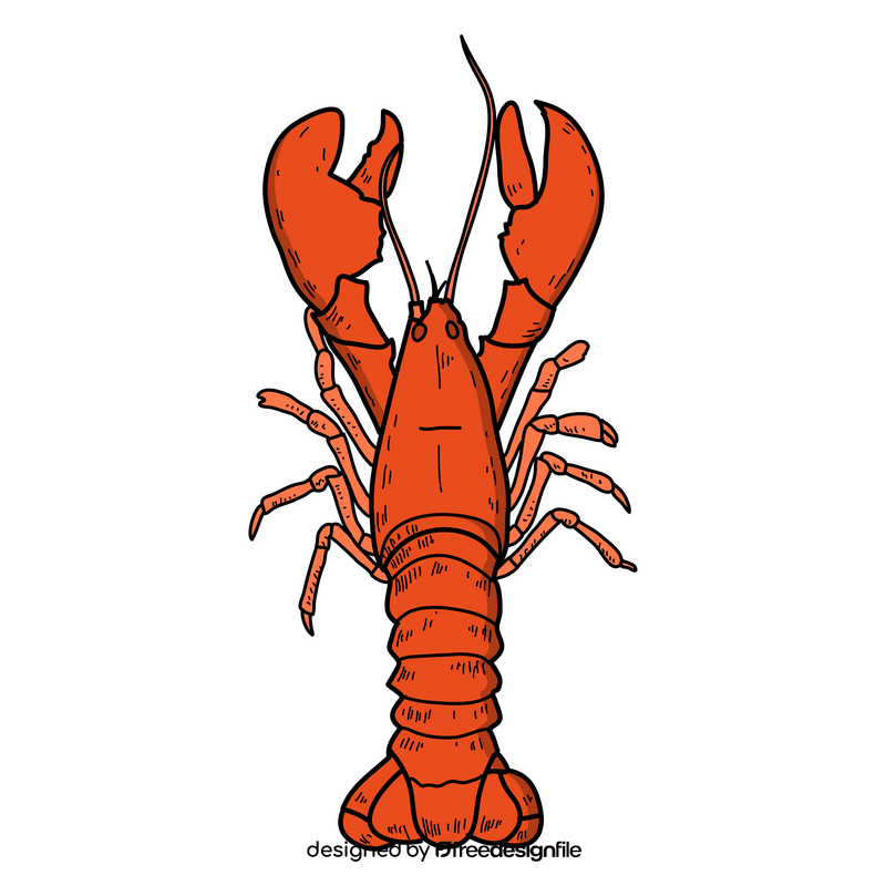 Lobster drawing clipart