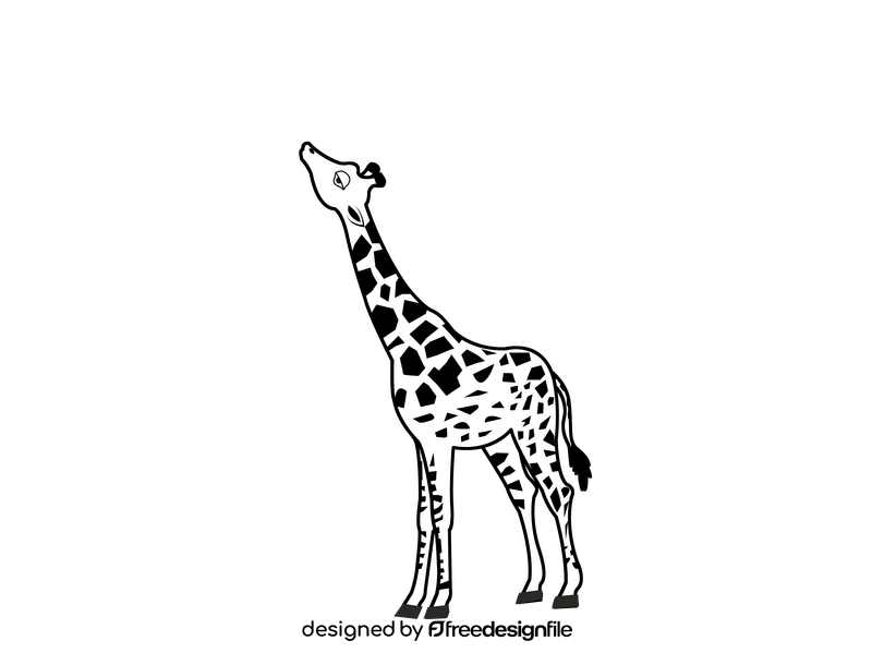 Giraffe black and white clipart