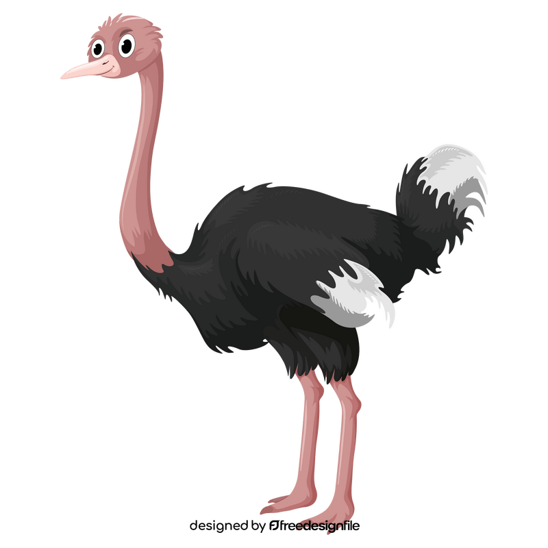 Cartoon ostrich clipart