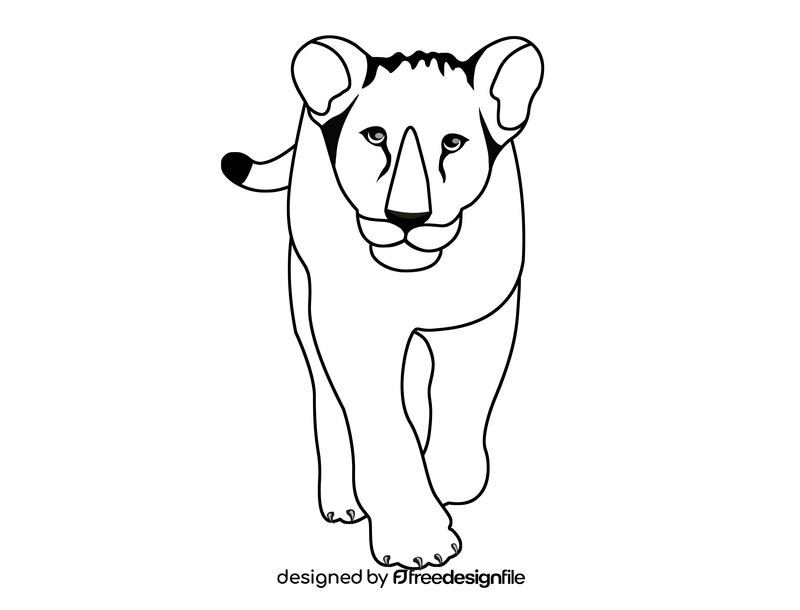 Lioness black and white clipart