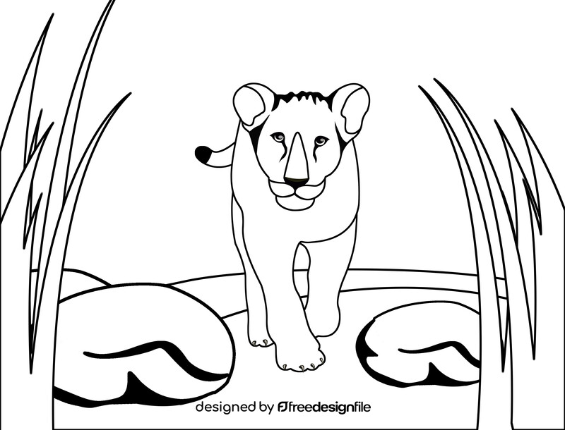 Lioness black and white vector