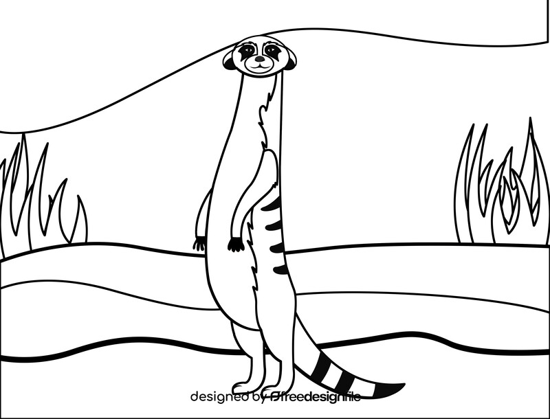 Meerkat black and white vector