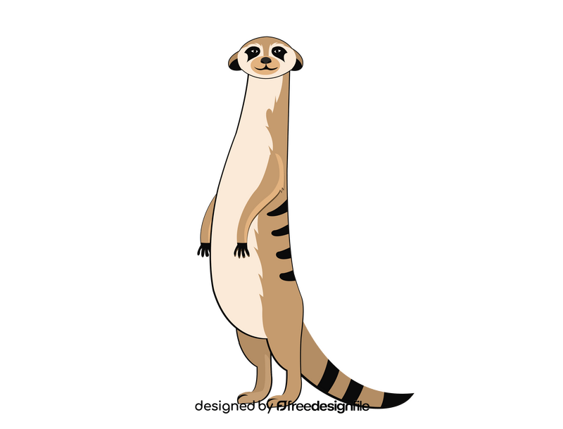 Meerkat clipart
