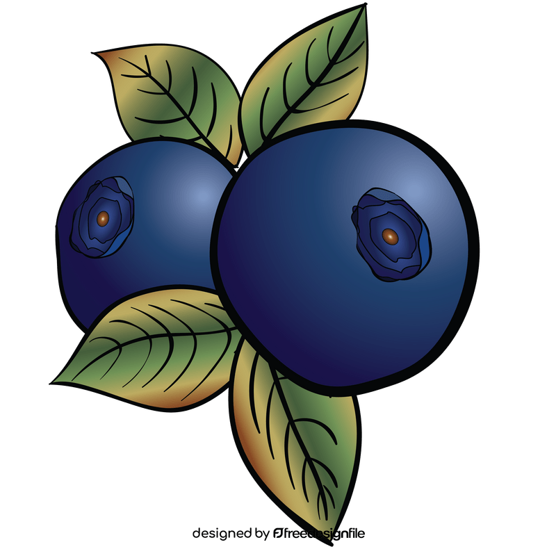 Blueberry clipart