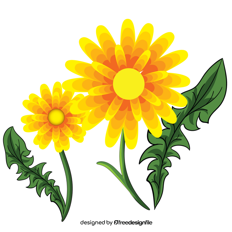 Dandelion clipart