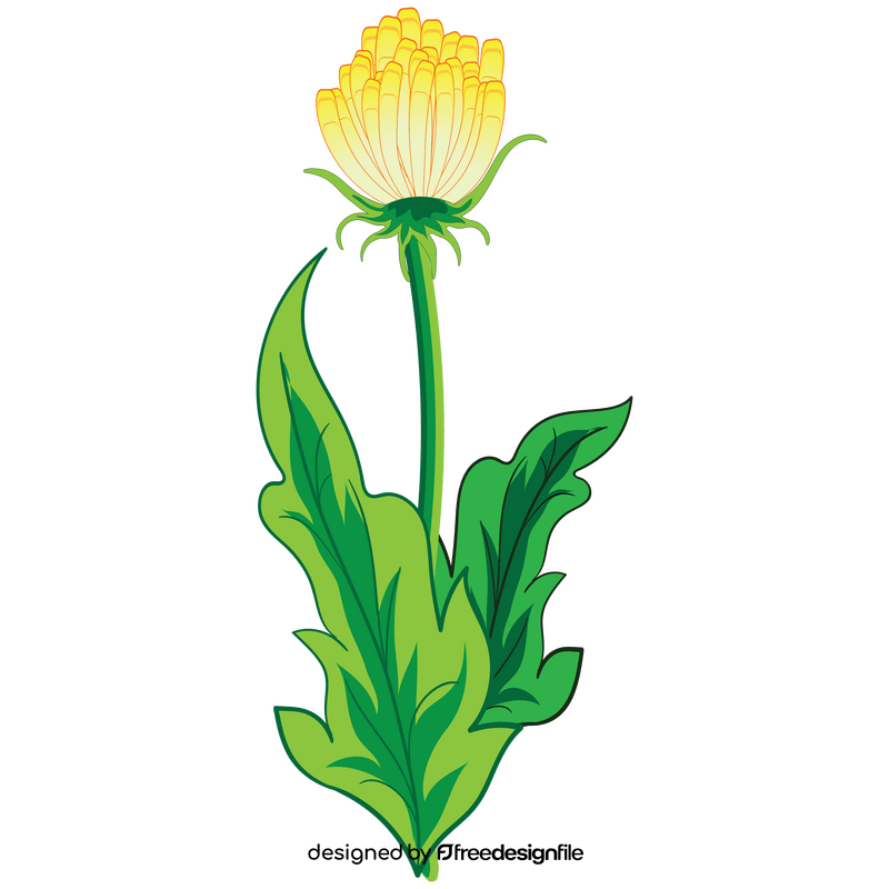 Free dandelion clipart