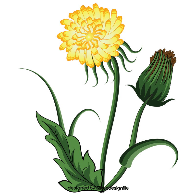 Dandelion seeds clipart