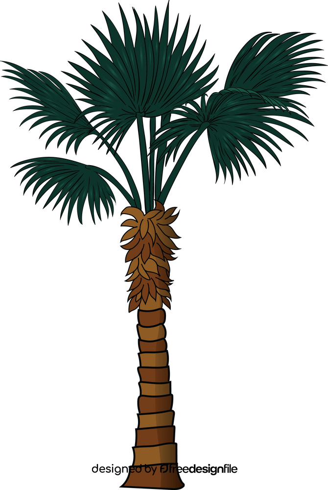 Palm tree clipart