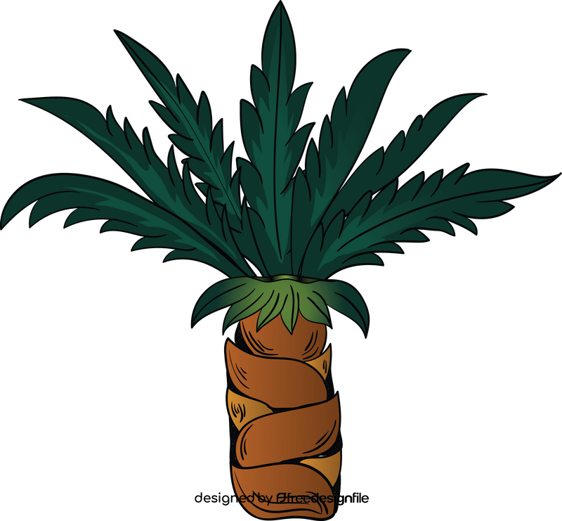 Palm clipart