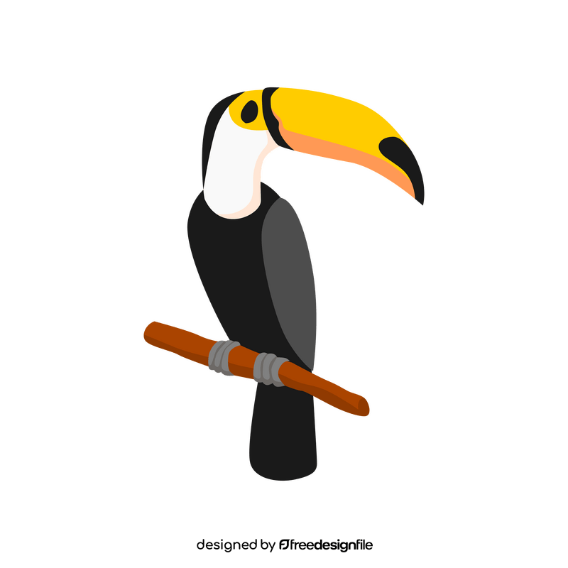 Toco toucan clipart