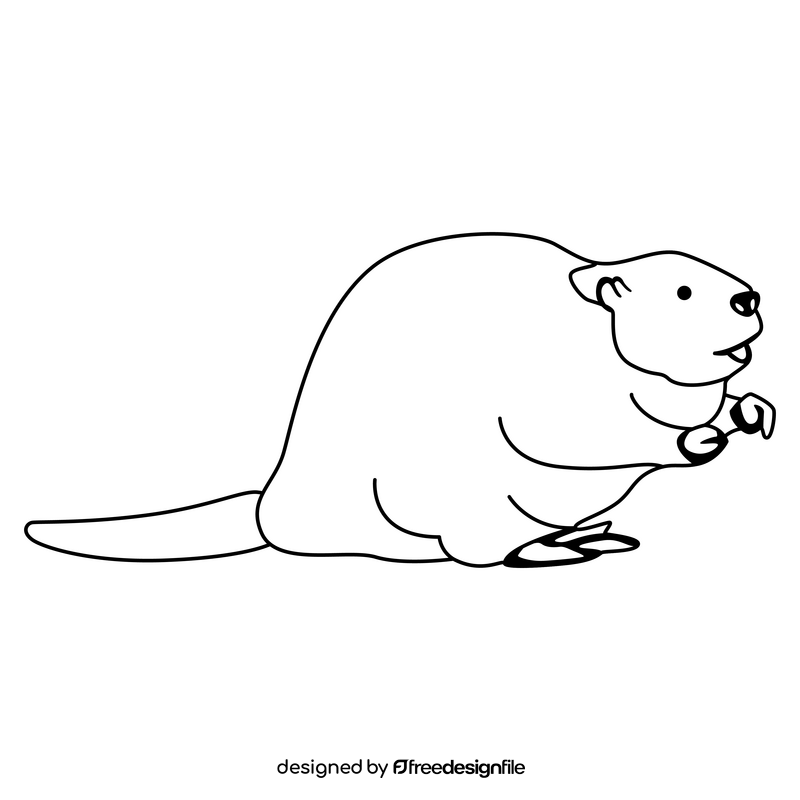 Beaver black and white clipart