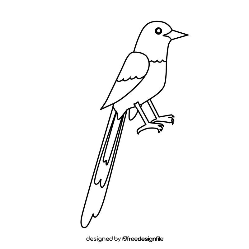 White rumped shama bird black and white clipart